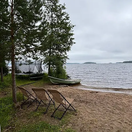 Kesaemoekki Korpilahdella, Paeijaenteen Rannalla *
