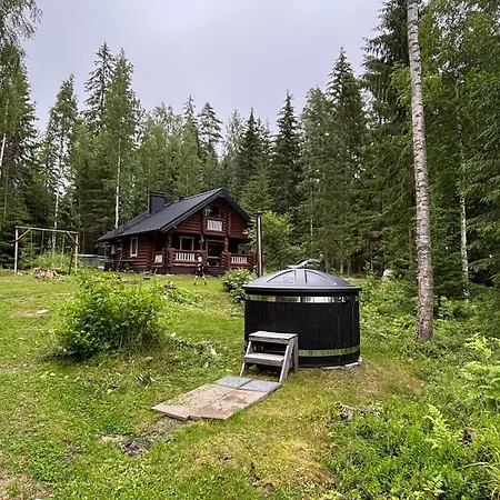 Kesaemoekki Korpilahdella, Paeijaenteen Rannalla *