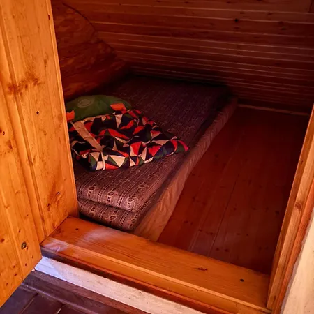 Kesaemoekki Korpilahdella, Paeijaenteen Rannalla *